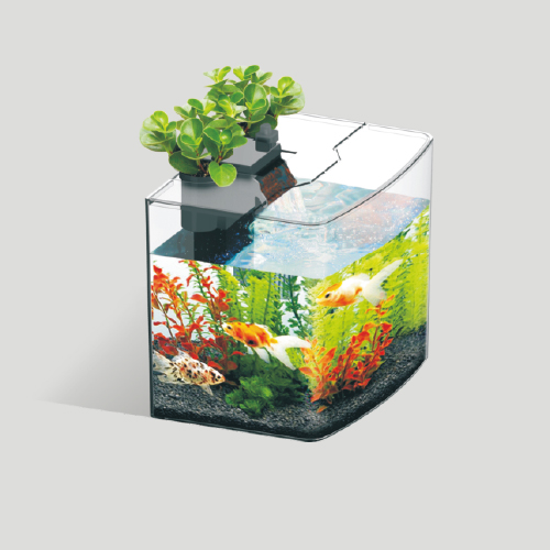 MINI种植鱼缸